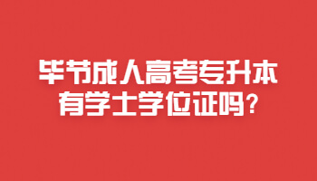 畢節成人高考專升本有學士學位證嗎?