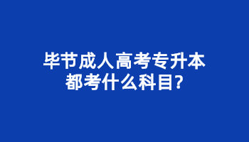 畢節成人高考專升本都考什么科目?