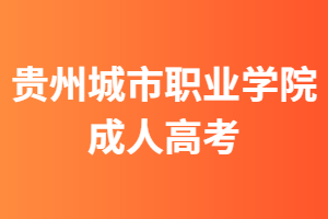 貴州城市職業學院成人高考